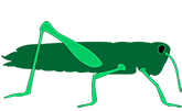 A two dimensional logo of a criket in green and light green colors